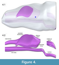 s fig4