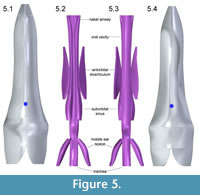 s fig5