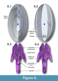 s fig6