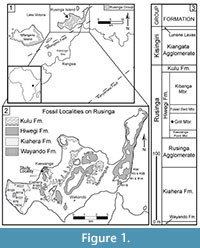 s figure 1