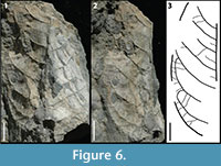 s figure 6