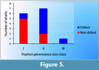 s figure 5