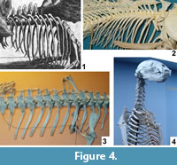 s figure 4