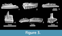 s figure3