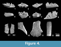 s figure4