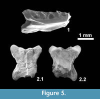 s figure5