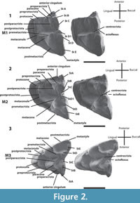 s figure2