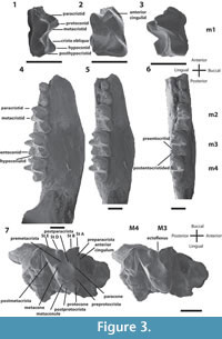 s figure3