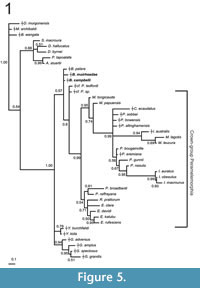 s figure5 a