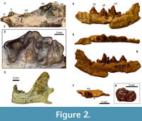 s figure 2