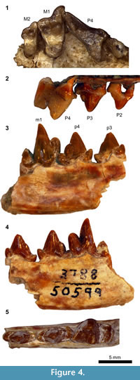 s figure 4