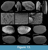 s figure 15