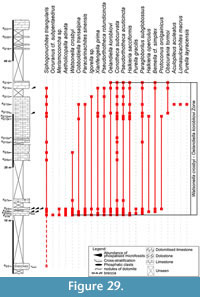 s figure 29