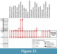 s figure 31