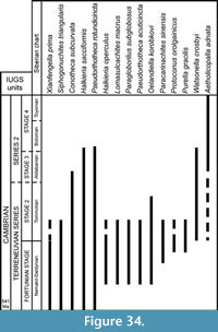 s figure 34