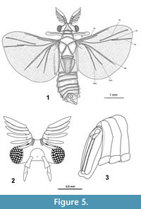 s figure 5