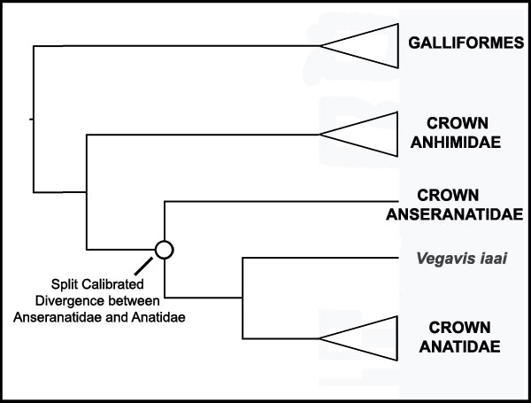 figure1