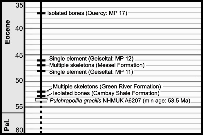 figure12a