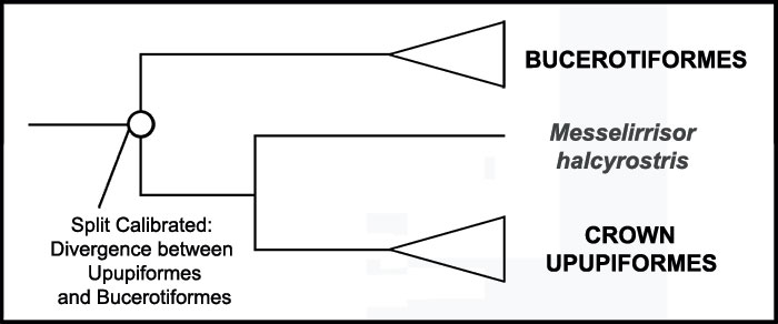 figure13