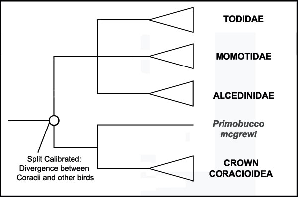 figure5