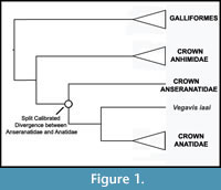 s figure1