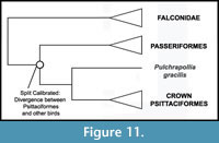 s figure11