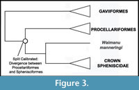 s figure3