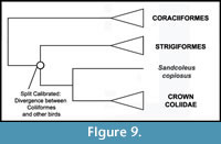 s figure9