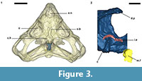 sfigure3