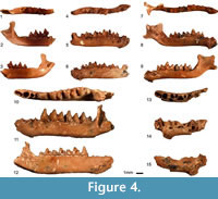 s fig4