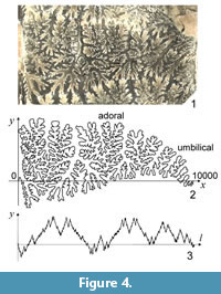 s figure4