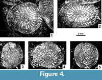 s figure4