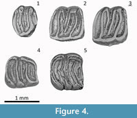 s figure 4