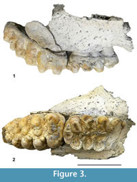 s figure3