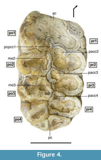 s figure4