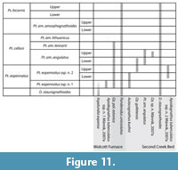 s figure11