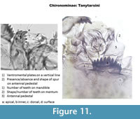 s figure11