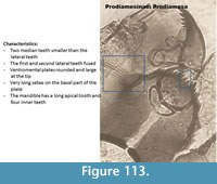 s figure113