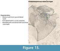 s figure15