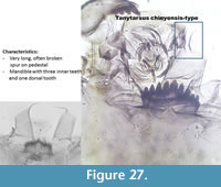 s figure27