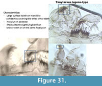 s figure31