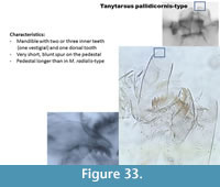 s figure33