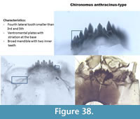 s figure38