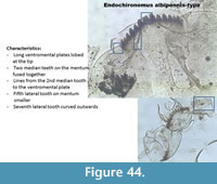 s figure44