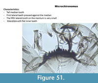 s figure51