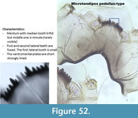 s figure52