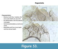 s figure53