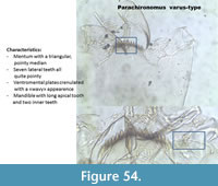 s figure54