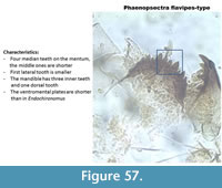 s figure57