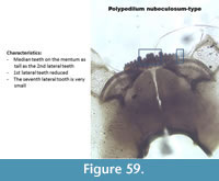 s figure59